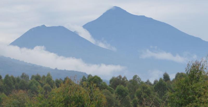 Virunga Mountains, Rwanda, where over 500 mountain gorillas live.